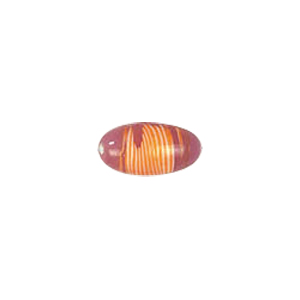 Feather design Oval shaped Lampworked Glass Beads 5220
