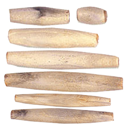 Gray Natural Horn Beads