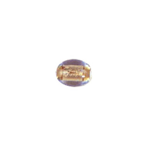 Gold Foiled Glass Beads with Colored baseline 3545