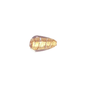 Gold Foiled Glass Beads with Colored baseline 3560