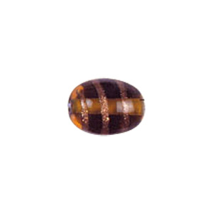 Basic Gold stone Striped Glass Beads 3672
