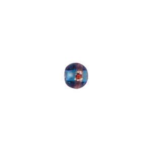 Goldstone band with dots Lampworkerd Glass Beads 4745
