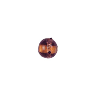 Goldstone band with dots Lampworkerd Glass Beads 4766