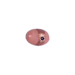 Goldstone band with dots Lampworkerd Pastel Glass Beads 4843
