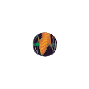 Feather design Coin shaped Lampworked Glass Beads 5204