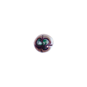Fancy Lampworked w or colorful Stringer White Glass Beads 5392