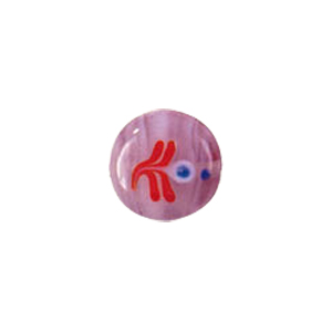 Tree or Flower design decorated Lampworked Glass Beads 5820