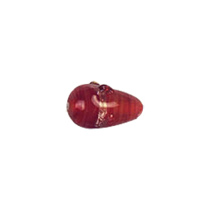 Twisted Gold band Lampworked Glass Beads 6201