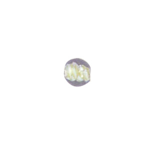 Color lined Glass Beads w or twisted stringer designs 6219