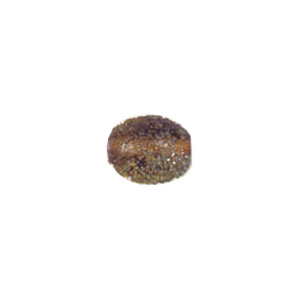 Glass powder fusion Beads 6294