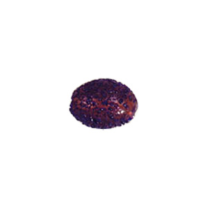 Glass powder fusion Beads 6300