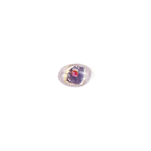 Color lined Silver foiled Glass Beads 6476