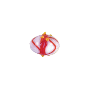 Multi color stringer Lampworked Glass Beads 7373