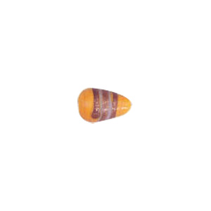 Multi Color lined and striped Lampworked Glass Beads 8098
