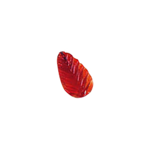 Glass Charms theme Nature 8486