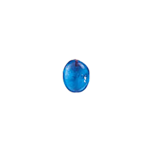 Glass Charms theme Nature 8516
