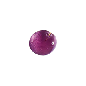 Glass Charms theme Nature 8540