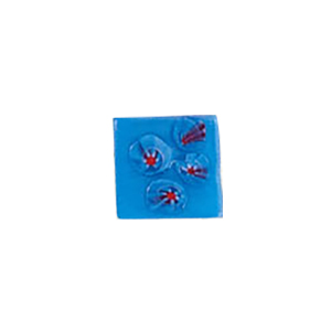 Glass Cabochons decorated Squares 8795