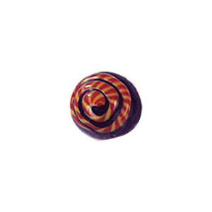 Glass Cabochons decorated Circles 8863