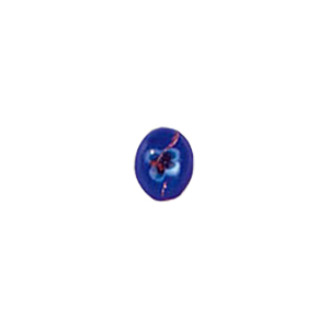Glass Cabochons decorated 8924