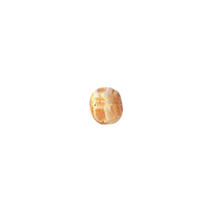 Hand Carved Bone Beads Natural finish 9642