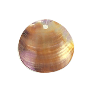 MOP Shell Pendants Brown dyed 10256