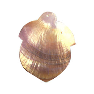 MOP Shell Pendants Brown dyed 10260