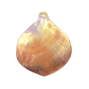 MOP Shell Pendants Brown dyed 10263