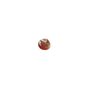 MOP Shell Buttons 10310