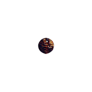 MOP Shell Buttons 10314