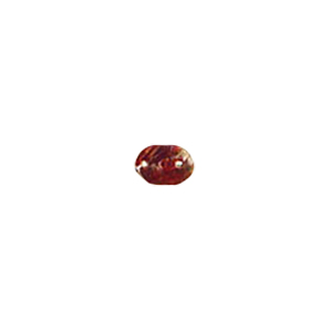 MOP Shell Buttons 10316