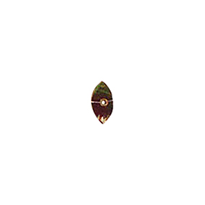 MOP Shell Buttons 10335