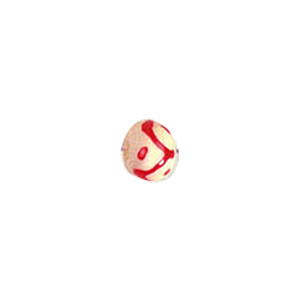 Hand Carved Bone Beads Coloured 9763