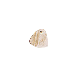 MOP Shell Buttons 10350