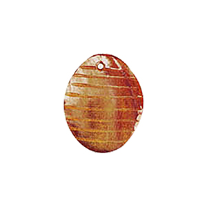 MOP Shell Buttons 10365