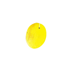MOP Shell Pendants Printed and Painted 10373