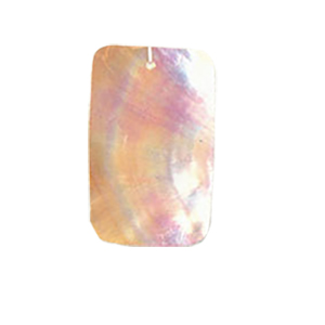 MOP Shell Pendants Printed and Painted 10394