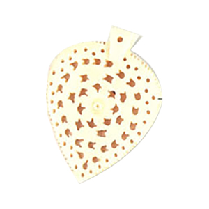 Natural Bone Buttons 9987