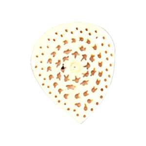 Natural Bone Buttons 9989