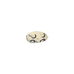 Bone hand carved Beads 10978