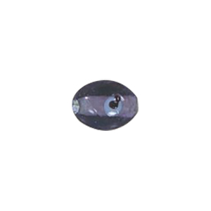 Glass Eye Beads 11100