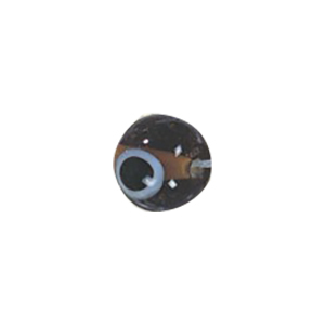Glass Eye Beads 11133