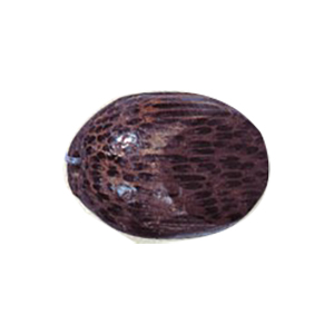 Dyed Wood BeadsBetel Nut Wood Beads 11170