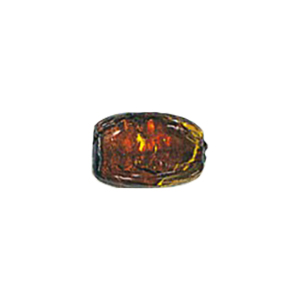 Silver Foiled Mirror Foiled Beads 12080