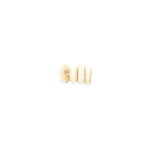 Basic Bone Beads 11263