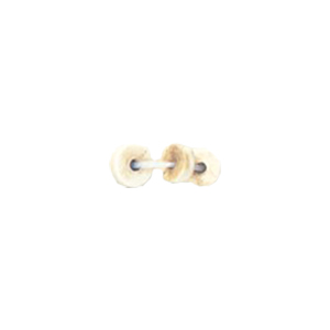 Basic Bone Beads 11296