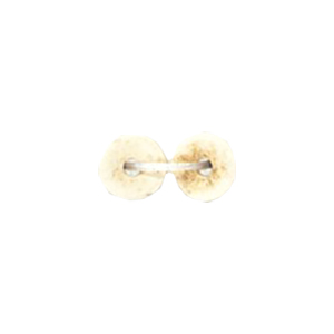 Basic Bone Beads 11299