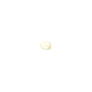 Basic Bone Beads 11316