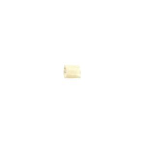 Basic Bone Beads 11318