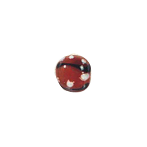 Lampworked Glass Beads Handmade 11529